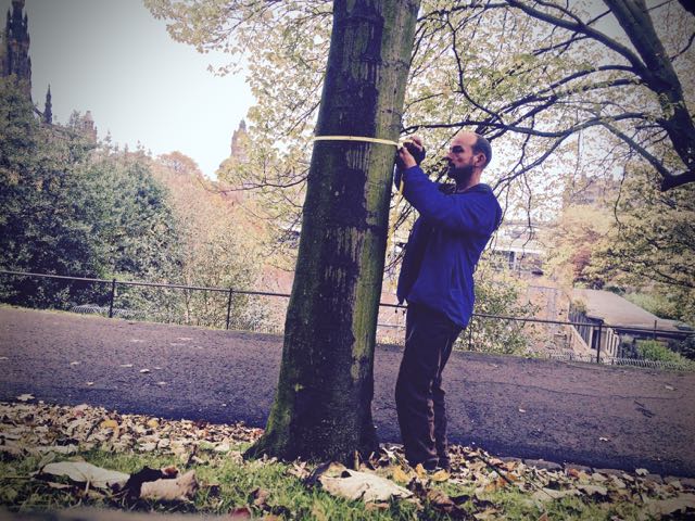 Assessing trees in Edinburgh to BS5837 (2012). Gallery Image