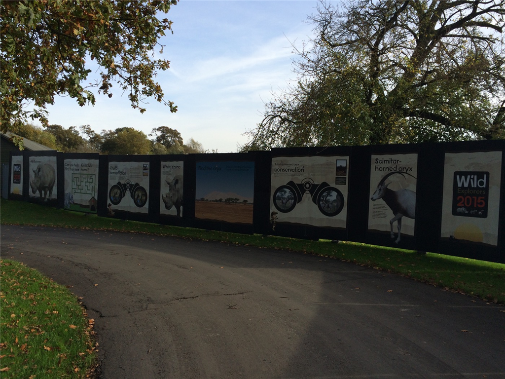 Zoo Construction hoarding graphics for development and building companies and private developments Gallery Image