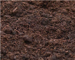 Mushroom Compost Gallery Thumbnail