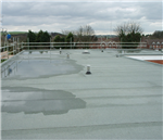 Alton Health Centre

Andersons roll and pour green mineral system Gallery Thumbnail