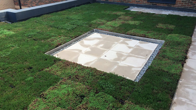 M-Tray® green roof system Gallery Image