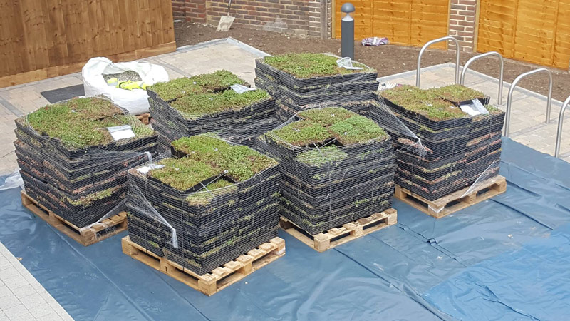 M-Tray® modular green roof supplied to site on pallets Gallery Image