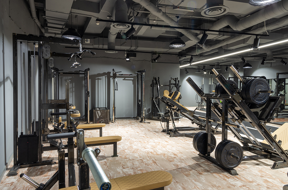 Roar Fitness, Eastcheap
Pendants, tracks, projectors and Notus linear systems
Lighting Design by Inox Gallery Image