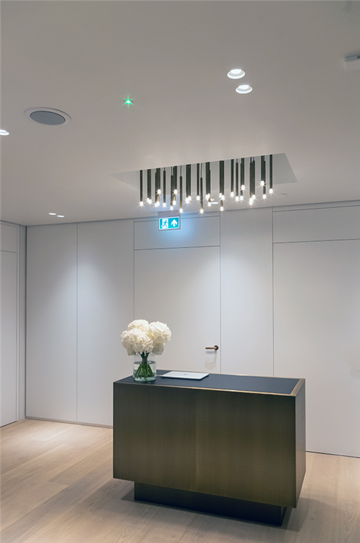 Lanserhof at The Arts Club, Dover Street, London.

One of three custom chandeliers.

Downlights also by Inox Gallery Image