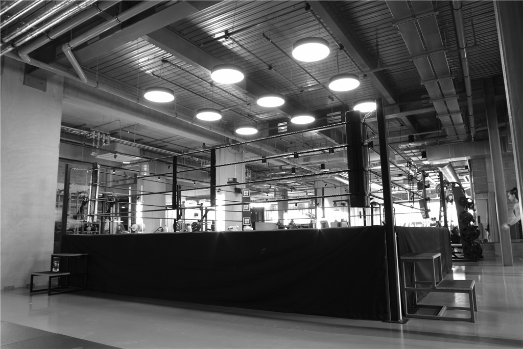 Gymbox, Elephant & Castle, Multiline 111C pendants over boxing ring Gallery Image