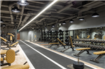 Roar Fitness, Eastcheap
Pendants, tracks, projectors and Notus linear systems
Lighting Design by Inox Gallery Thumbnail
