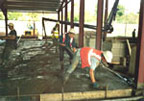 Ainsleys Industrial Flooring Ltd Image