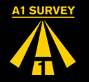 A1 Survey
