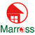 Marross Ltd