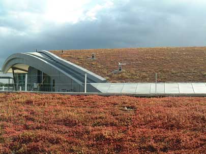 Blackdown Green Roofs Image