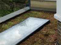 Eco Green Roofs Image
