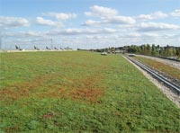 Eco Green Roofs Image
