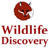 Company Logo Postition 1