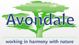 Avondale Environmental Services Ltd