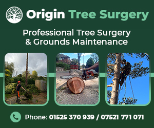 Origin Tree Surgery