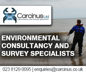 Carcinus Ltd