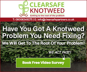 Clearsafe Knotweed