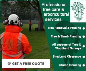 M P Tree Care & Land Management