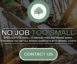 Maine Valley Tree Services