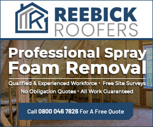 Reebick Spray Foam Removal