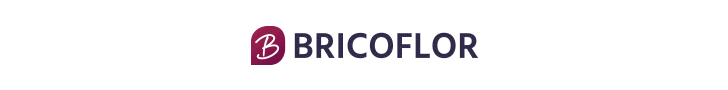 BRICOFLOR Vinyl Click Flooring