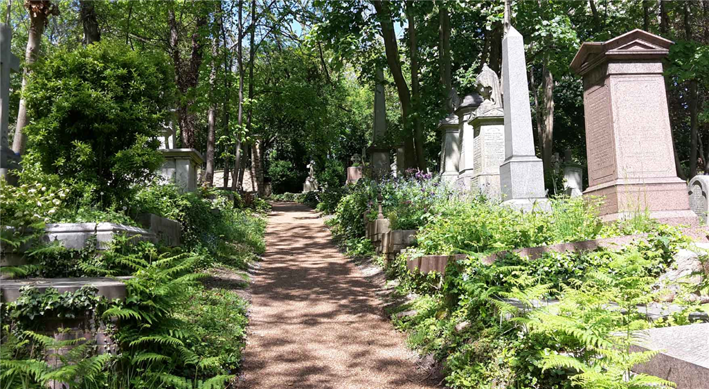 Highgate Cemetery
Terrabase Rustic Resin Bound Porous Surfacing Gallery Image