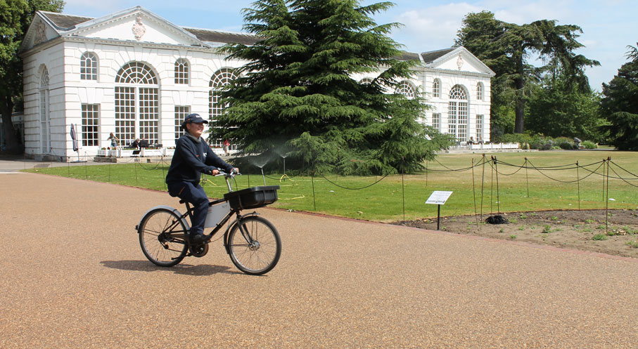 Royal Botanic Gardens Kew,London
Terrabase Rustic Resin Bound Porous Surfacing Gallery Image