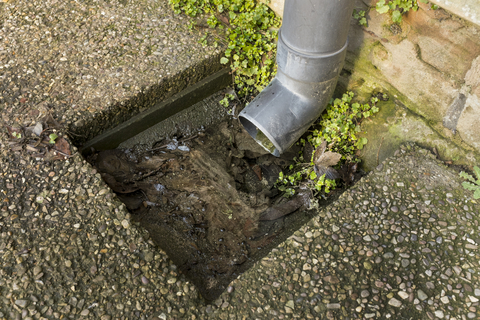 Blocked gully before clearing by Drain Doctor Gloucestershire Gallery Image