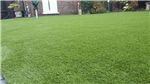 Luxury Lawns AGS 
Artificial Grass  Gallery Thumbnail