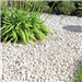 Limestone Chippings Gallery Thumbnail