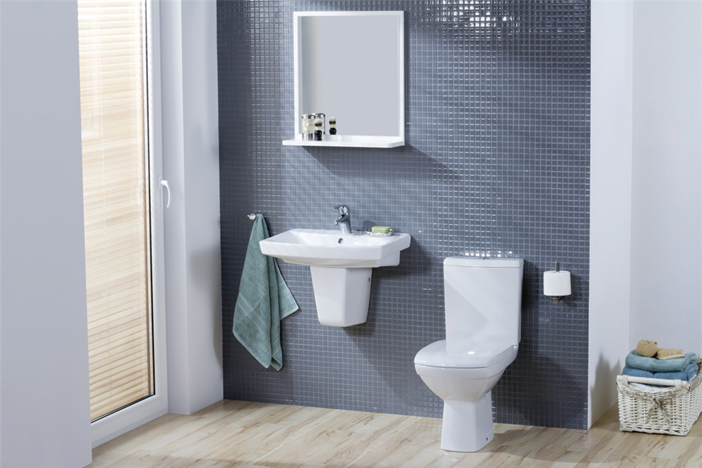 Carina Toilet & Basin With Pedestal Gallery Image