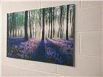 Canvas printed for a customer Gallery Thumbnail