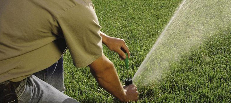 Rain Bird Pop Up Sprinkler Systems - expert advice  Gallery Image