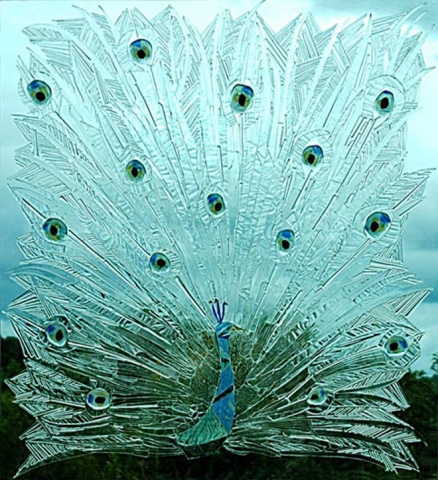 Glass window mosaic - Peacock Gallery Image