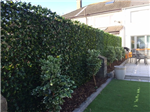 Greenfx Trellis hedge screening, easy to install. Gallery Thumbnail
