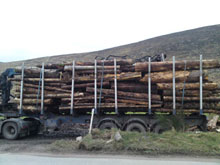 Leitrim Sawmills Limited Image