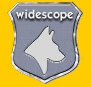 Widescope Security Services Ltd