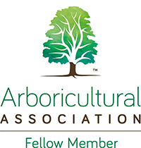 Mark Hinsley Arboricultural Consultants Ltd