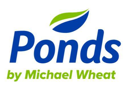 Ponds by Michael Wheat
