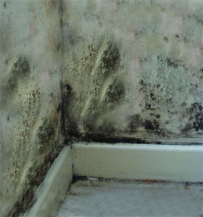 EnviroVent Image