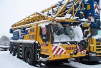 Savage Cranes Limited Image