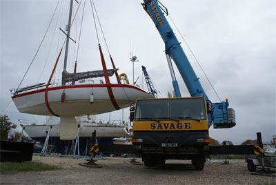 Savage Cranes Limited Image