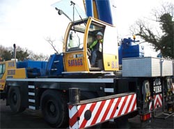 Savage Cranes Limited Image