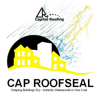 Capital Roofing Co Ltd Image