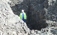 Dave Bushby Plant Hire Ltd Image