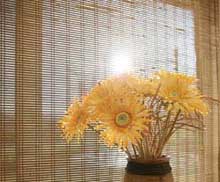 Apollo Blinds Chester Image