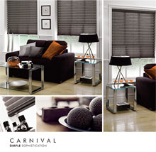 DMS Blinds Image