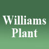 Company Logo Postition 3