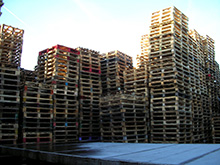 Brian Palmer Pallets Ltd Image