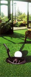 Astroturf Artificial Grass Image